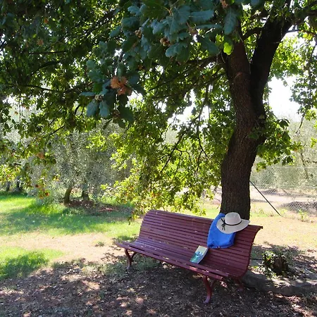 别墅 Galleria Di Brolio *