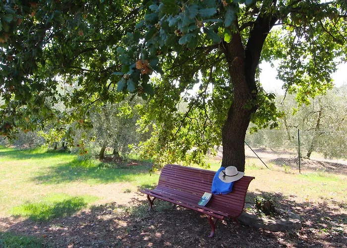 别墅 Galleria Di Brolio *